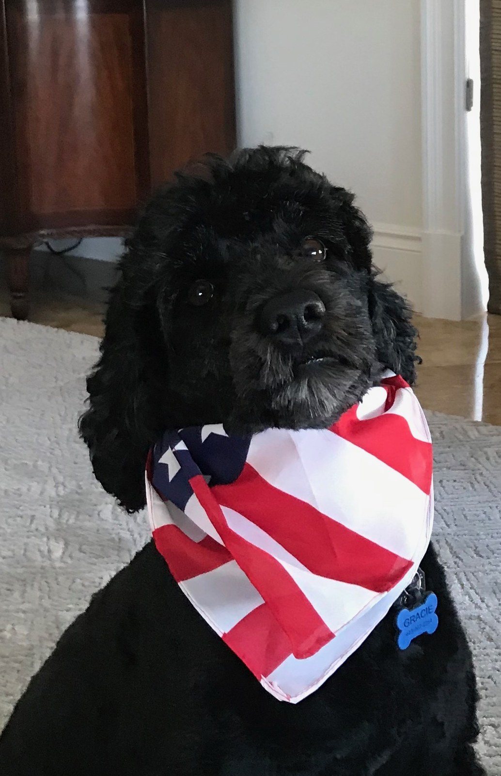American Girl