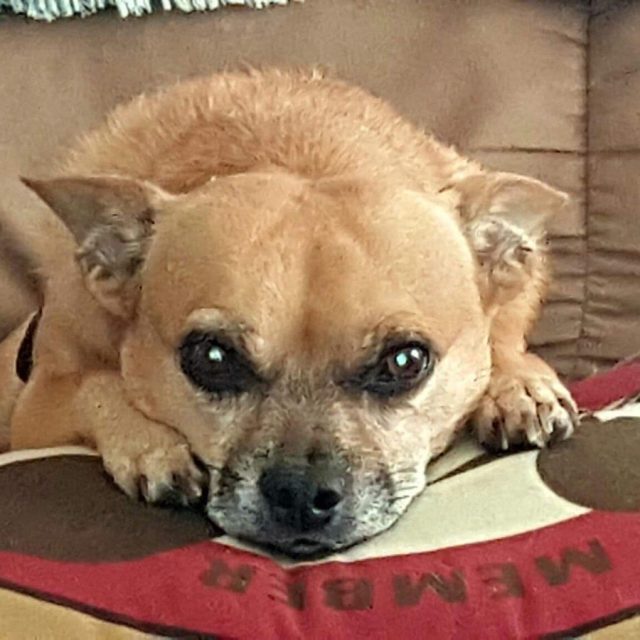 Keeping My Eyes On You!