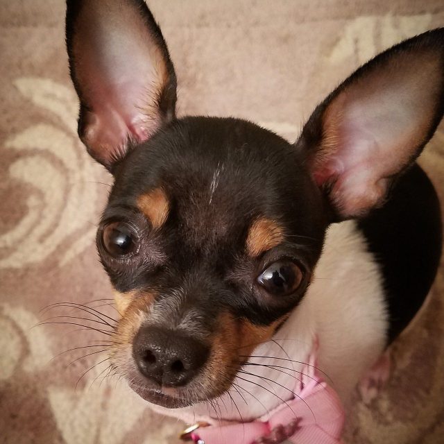 Hi! Im Phoebe!