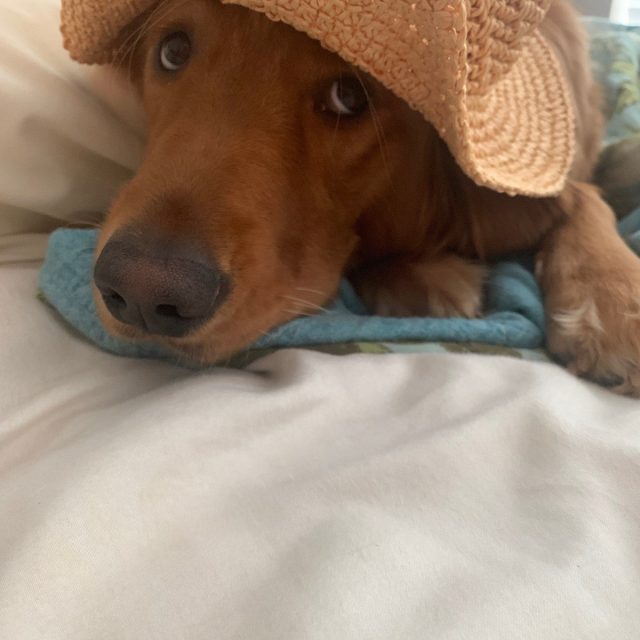 Beach Day