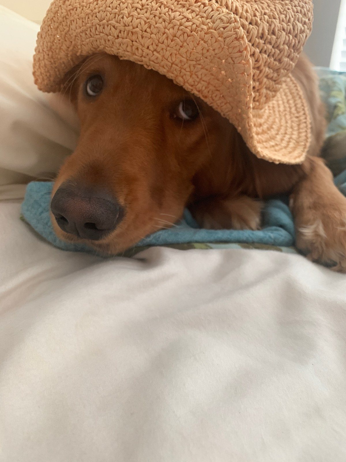 Beach Day