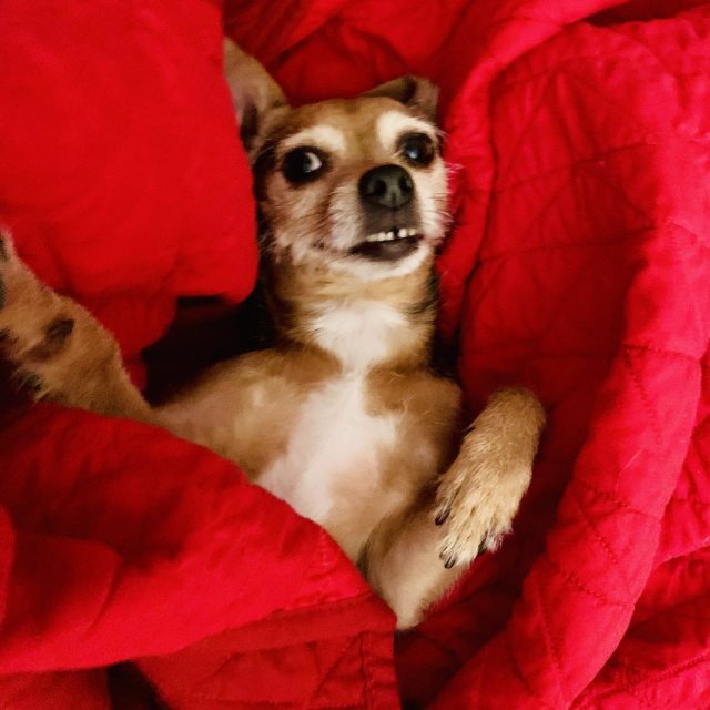 Tessa Relaxing