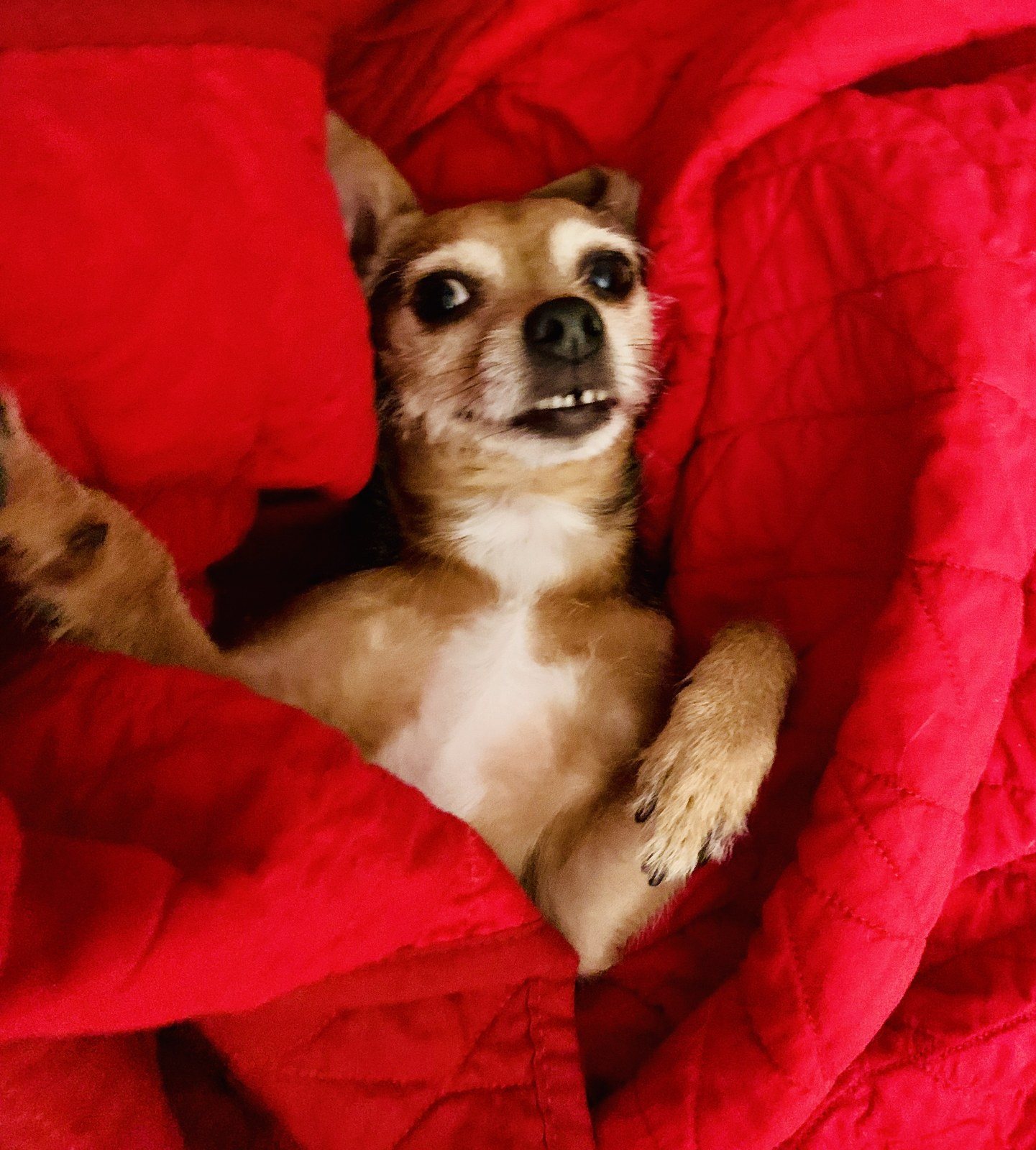 Tessa Relaxing