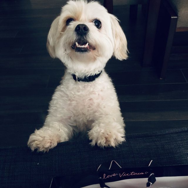 Rosie Posie