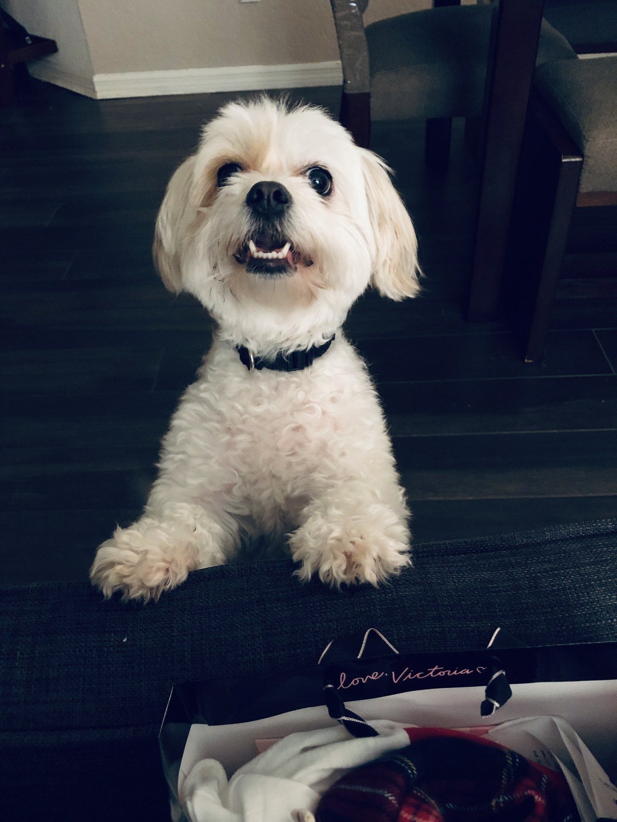 Rosie Posie