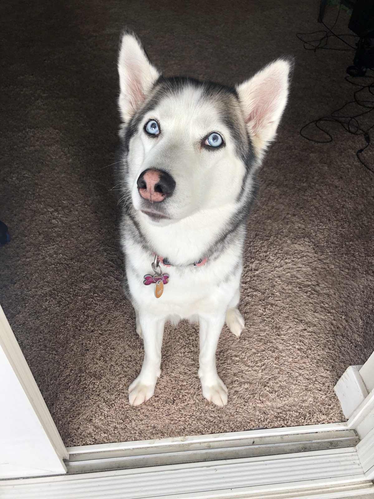 Little Skyy