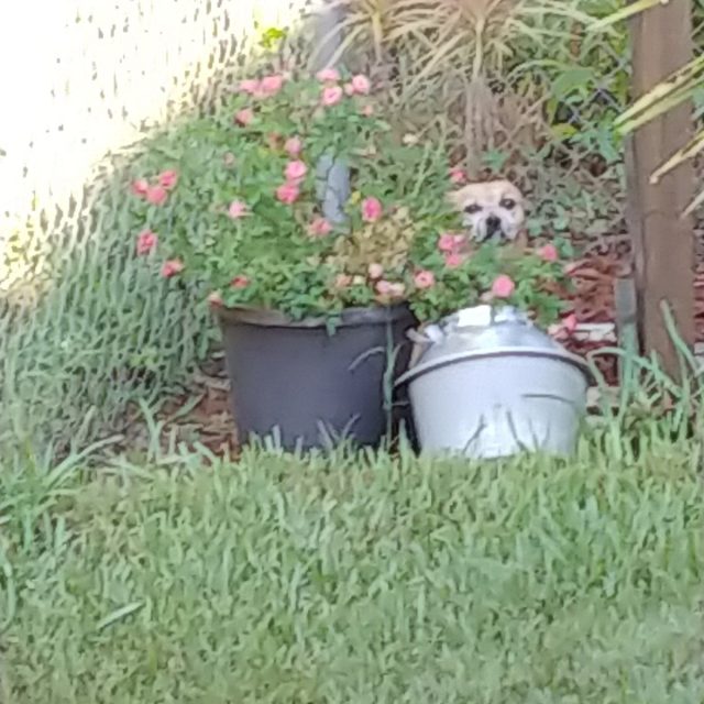 You Can't See Me......