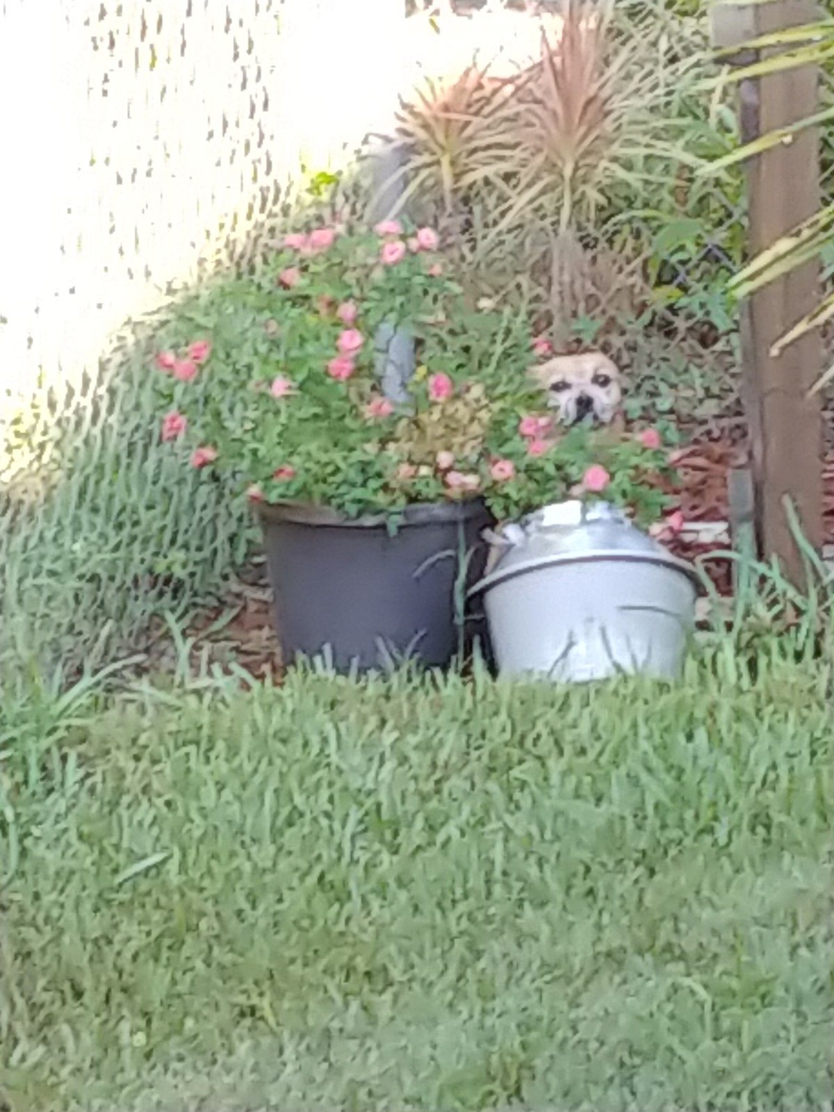 You Can't See Me......