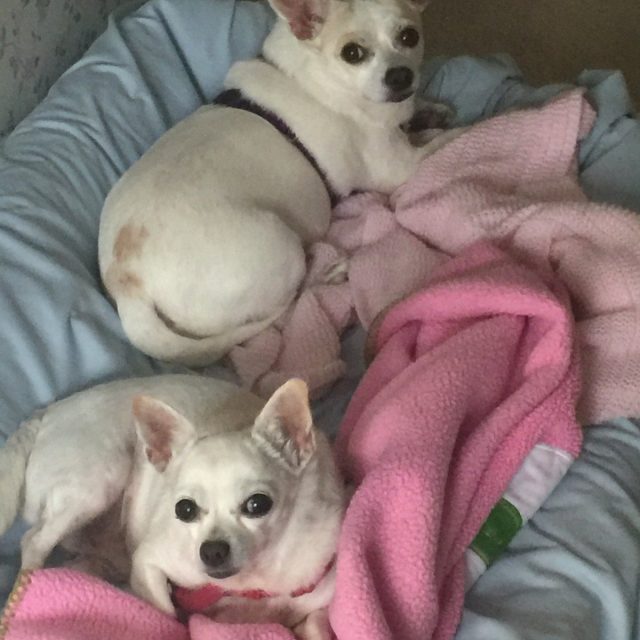 Thrown From Moms Bed
