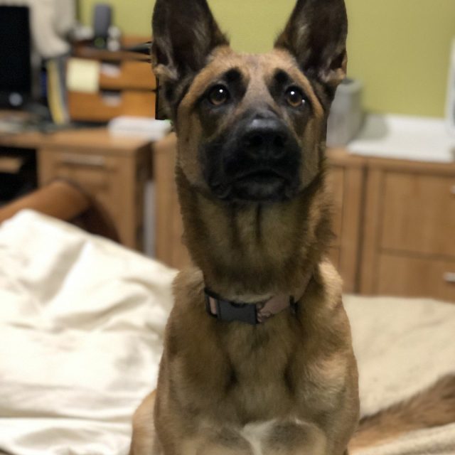 I'm A Good Girl