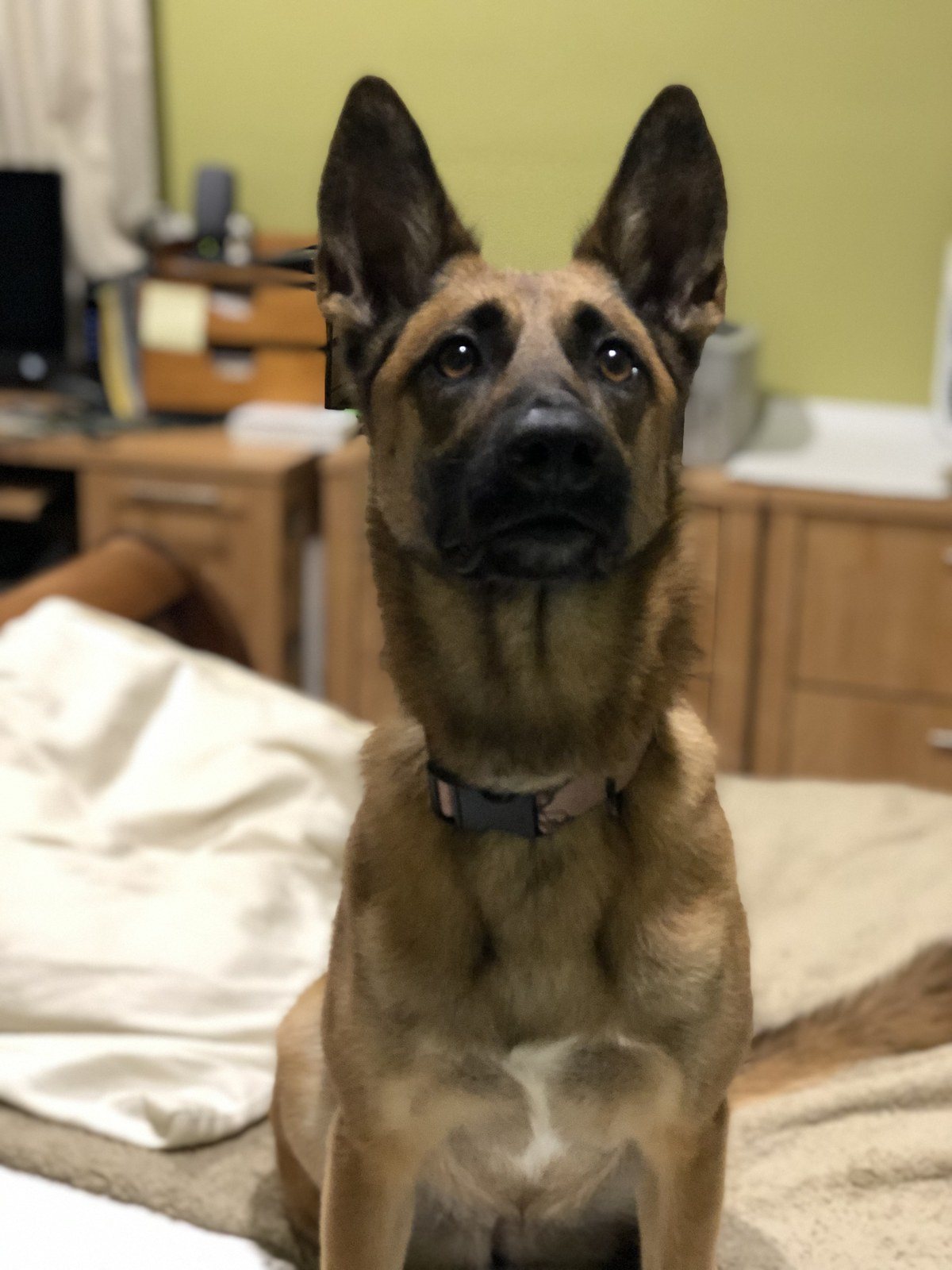 I'm A Good Girl
