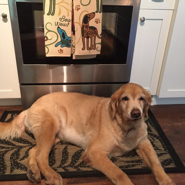Chloe "Is It Soup Yet?"