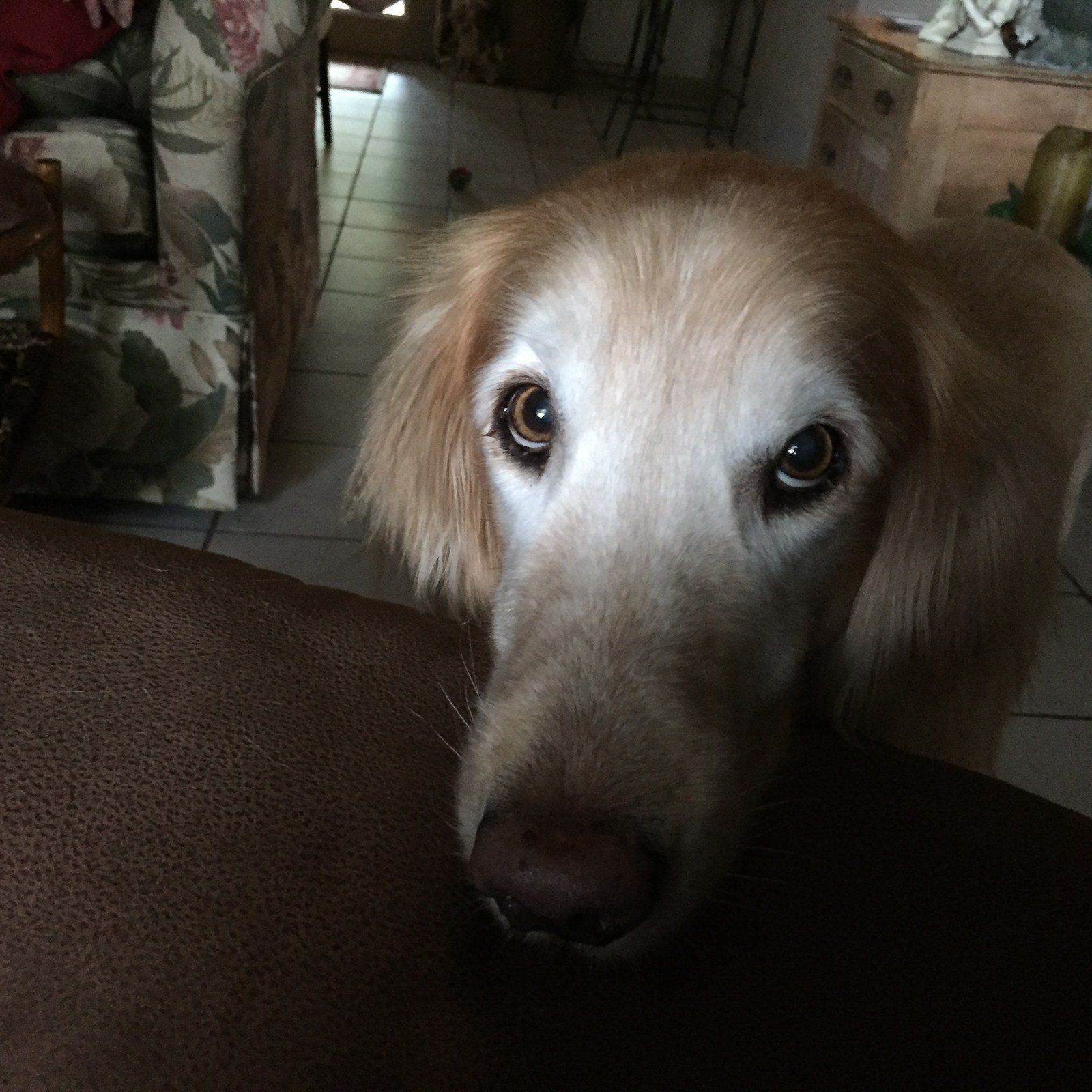 KC "I Love You Mommy"