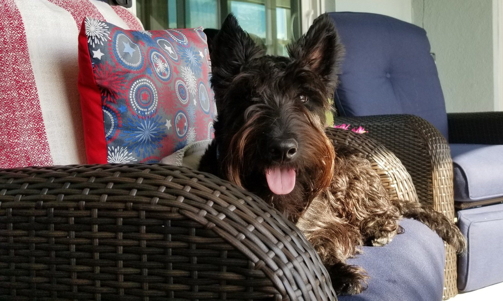 Angus P