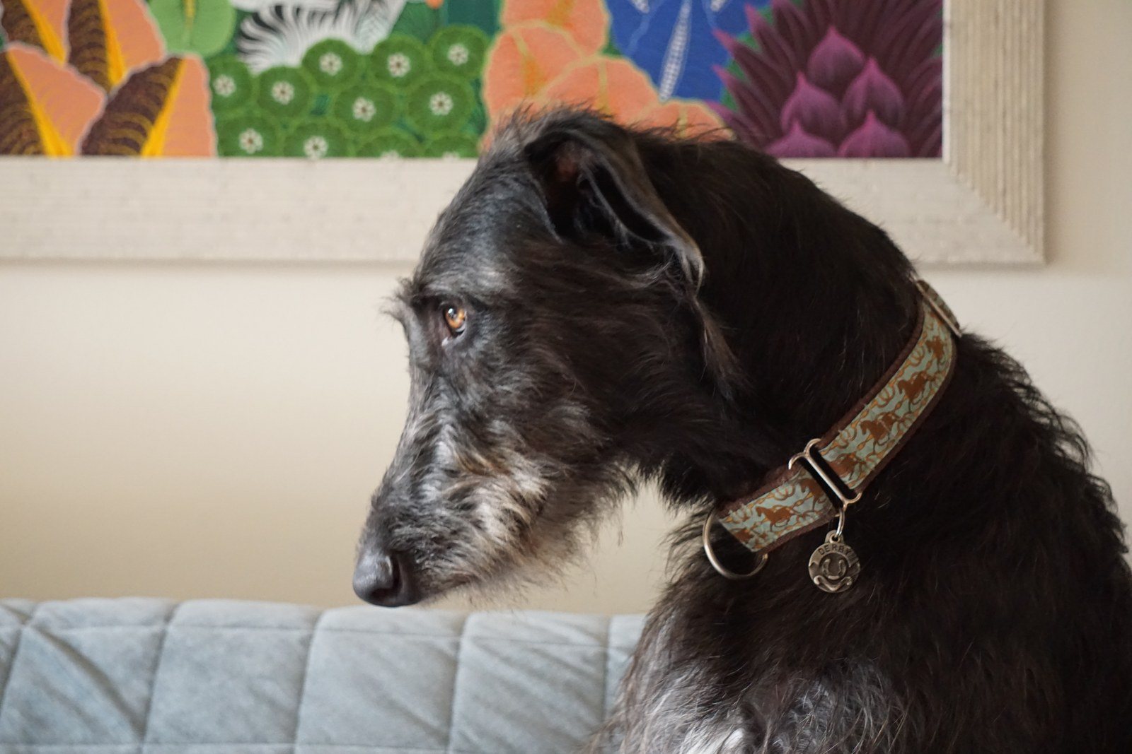 Deerhound Art