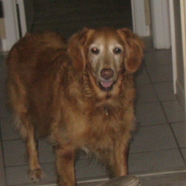 Bella "I Am So Happy You Adopted Me Mommy"