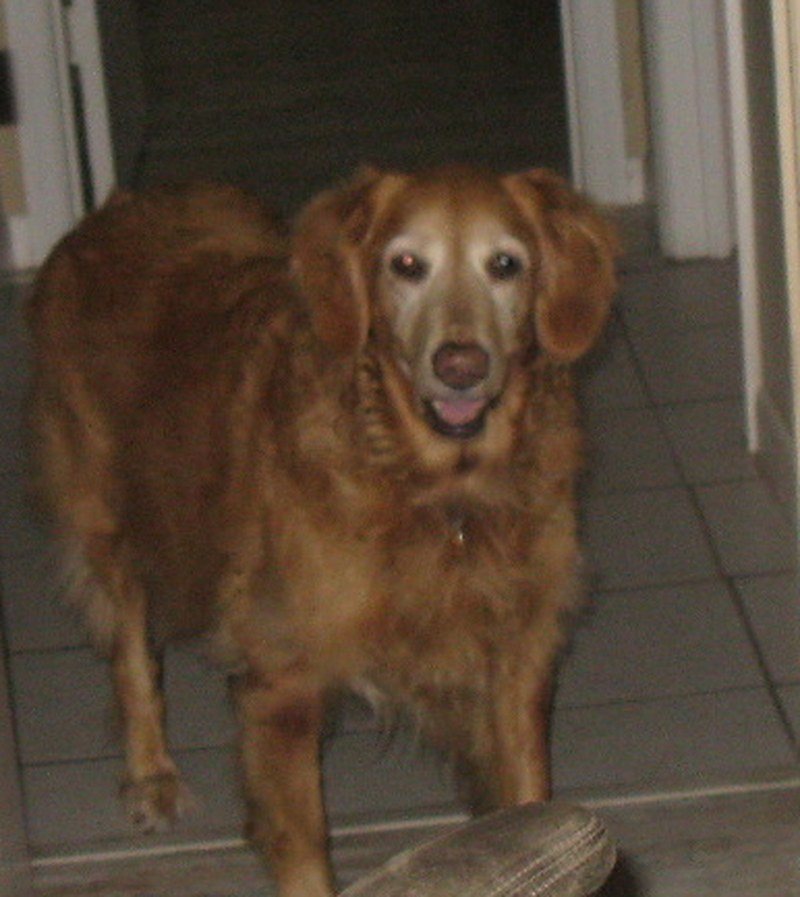 Bella "I Am So Happy You Adopted Me Mommy"