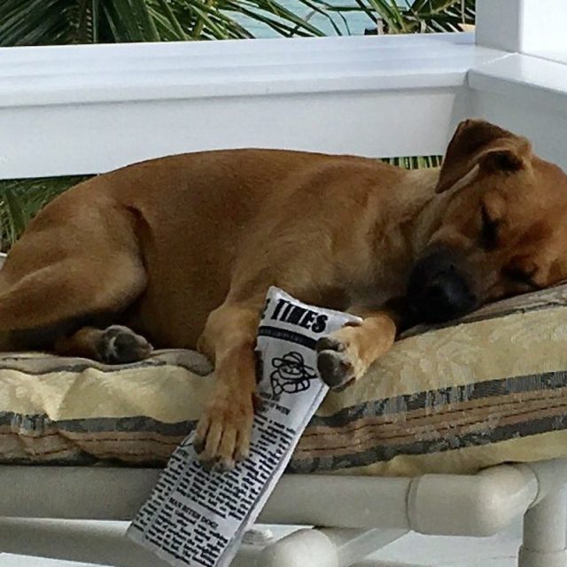 Today's News Exhausting
