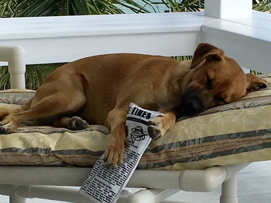 Today's News Exhausting