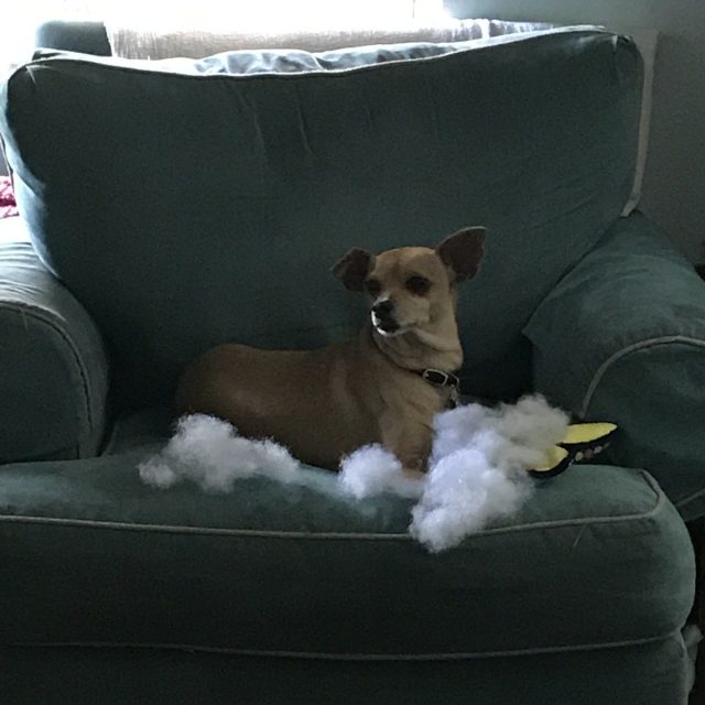 Did I Do That?