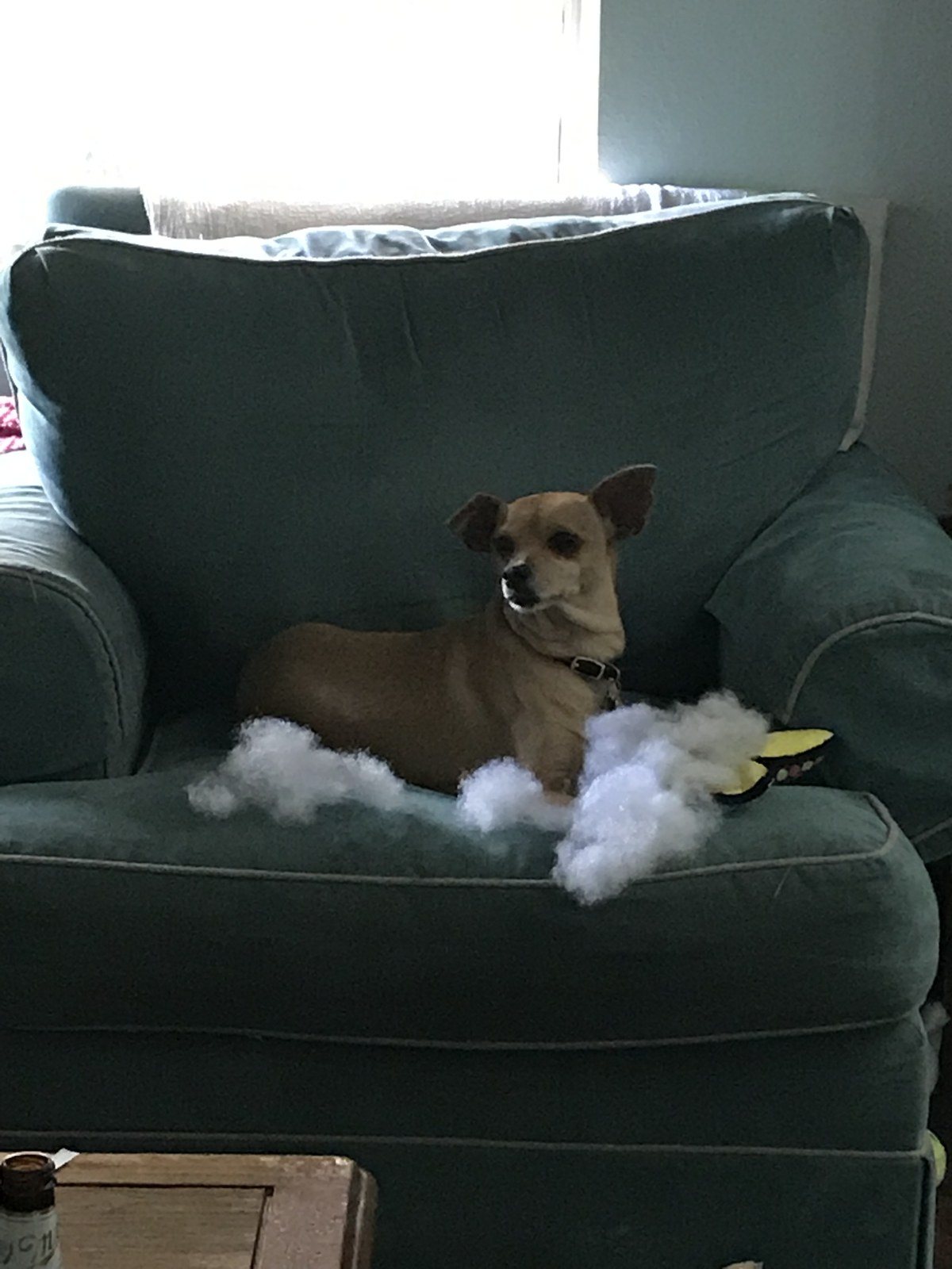 Did I Do That?