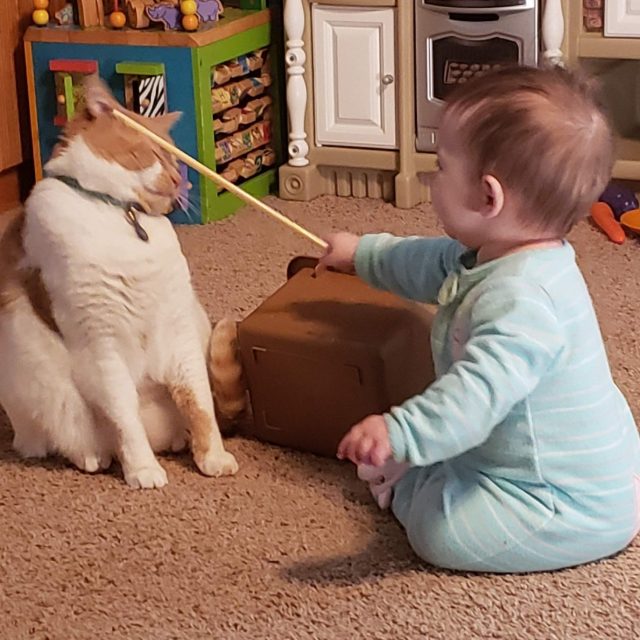 Milo Puts Up With A Lot From His Baby Sister.