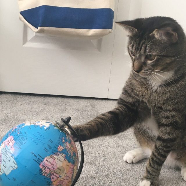Where To Go???