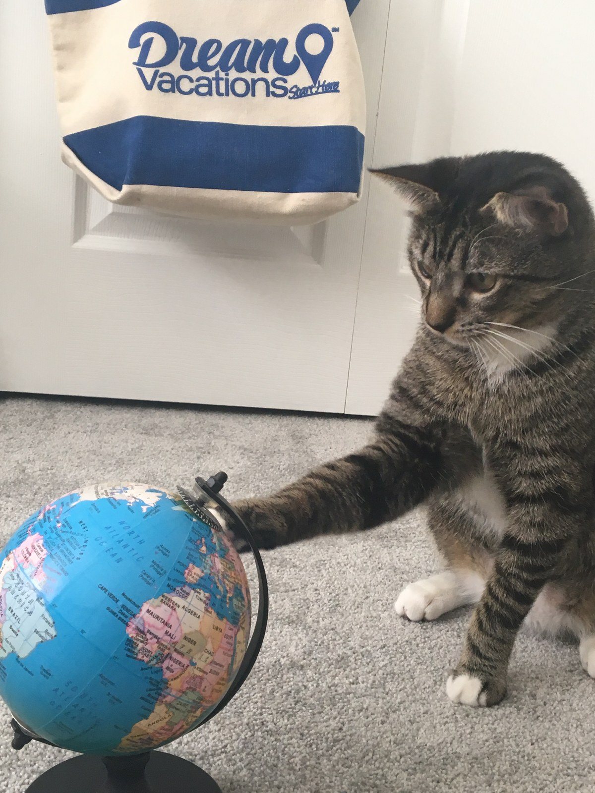 Where To Go???