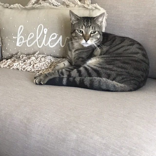 ❤️