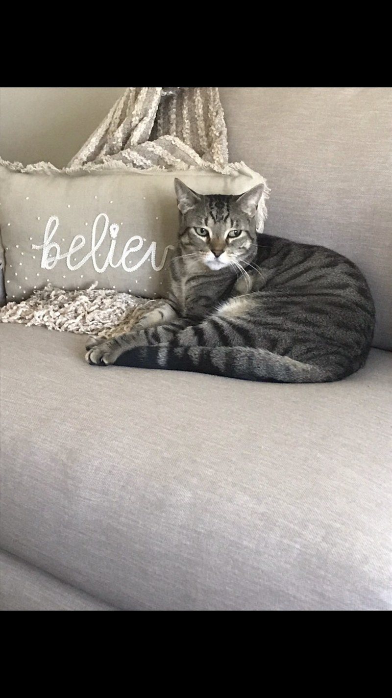 ❤️