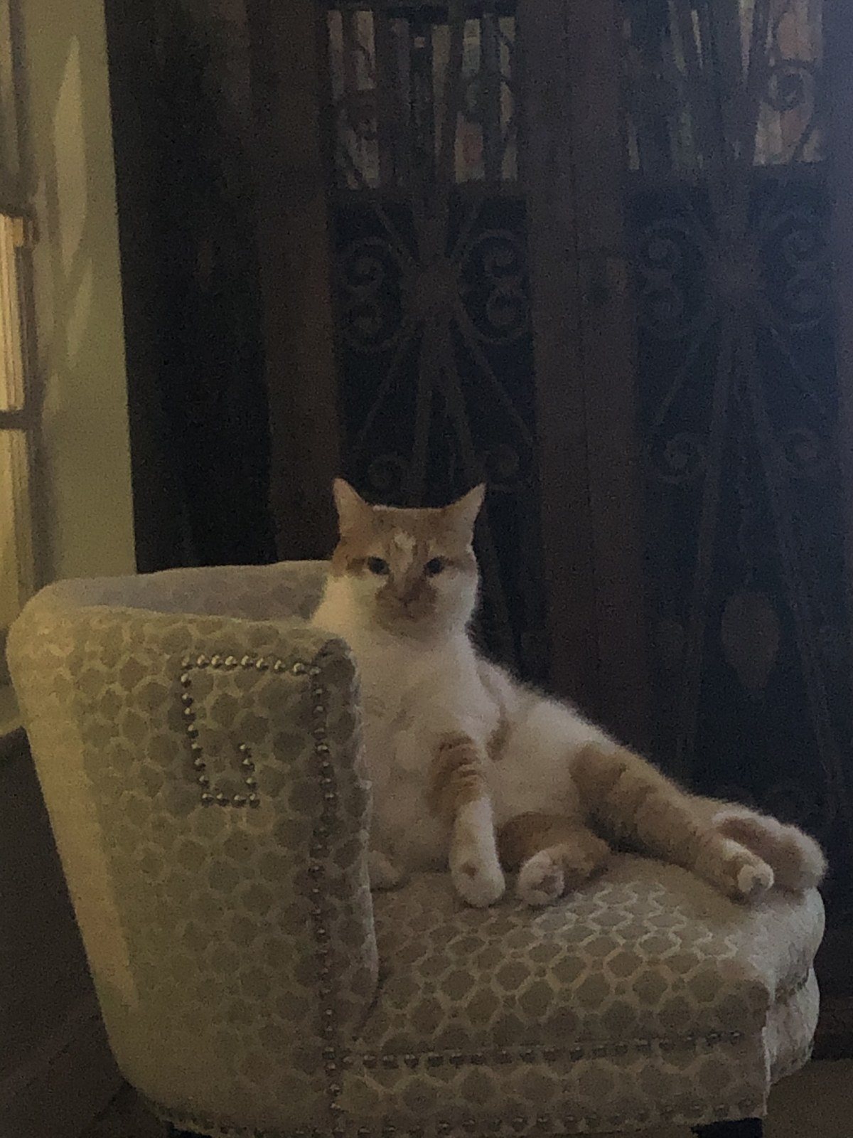 Yes...can I Help You ?