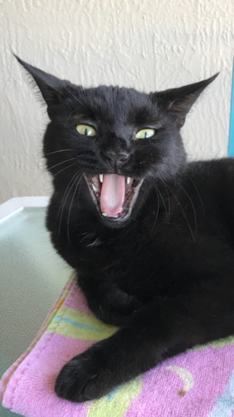 Boo!