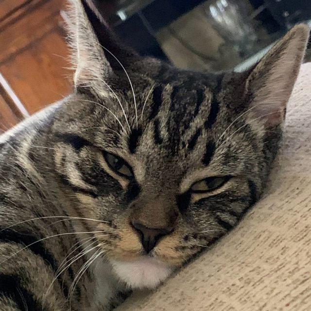 Who Are You Looking At?