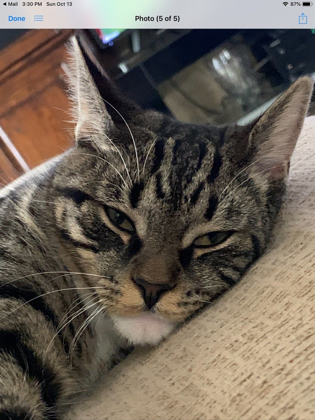 Who Are You Looking At?