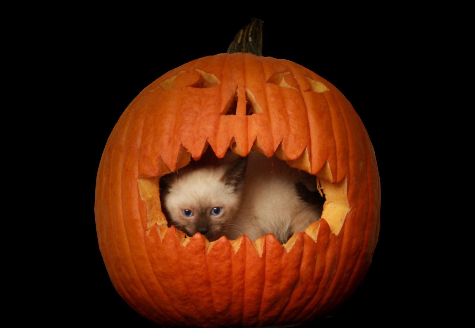 Peek-A-Boo
