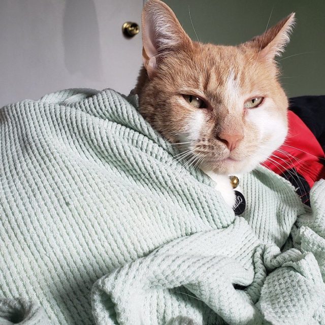No, Mom, You Can't Have Your Blankie Back.
