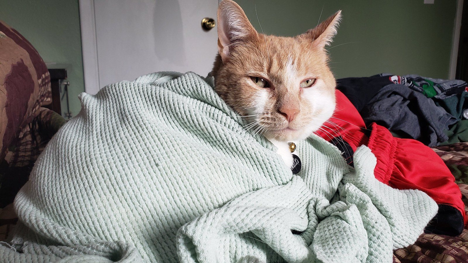 No, Mom, You Can't Have Your Blankie Back.