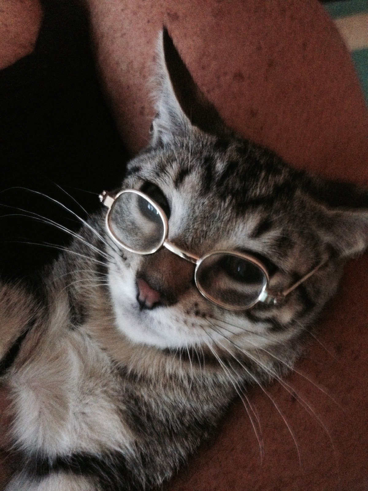 Which Way To The Library?