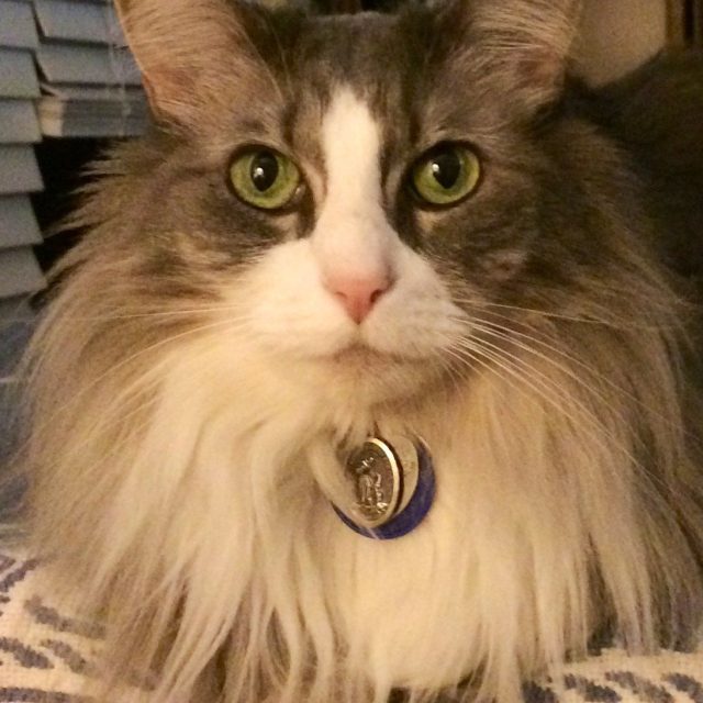 Sittin' Pretty