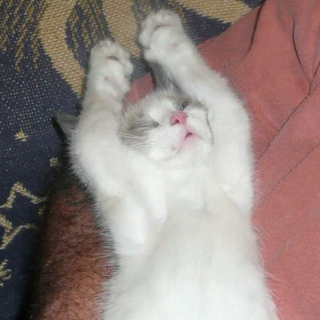 Baby Java