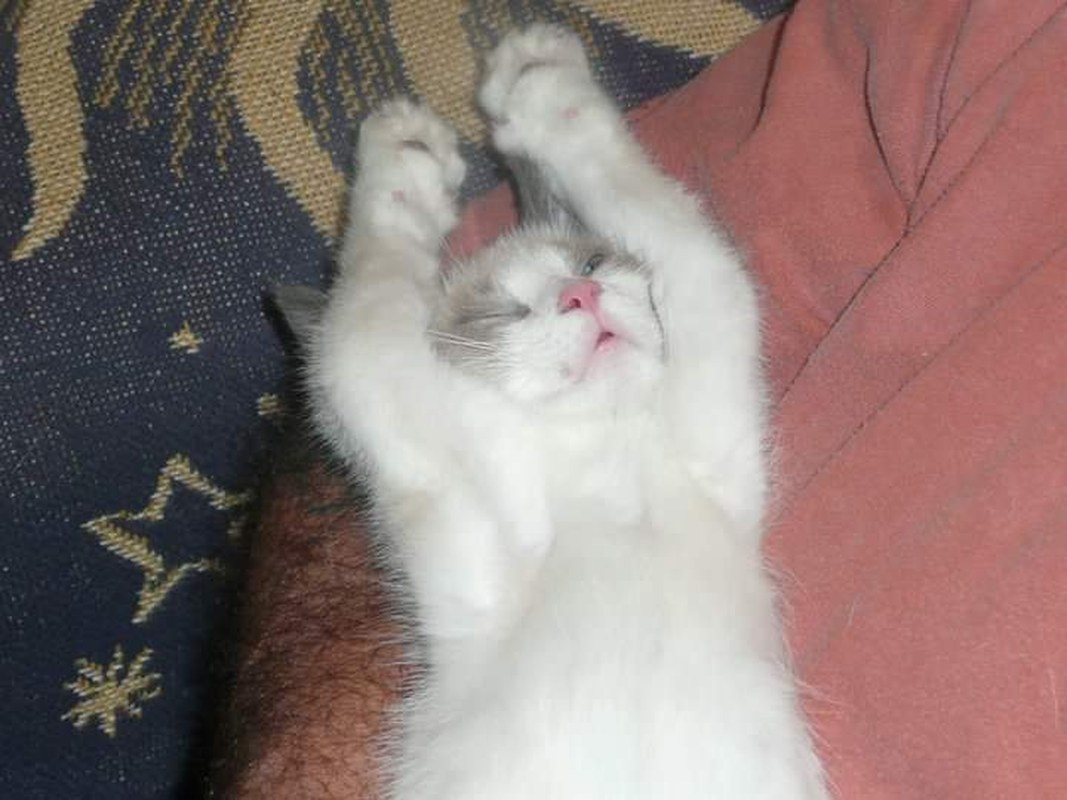 Baby Java