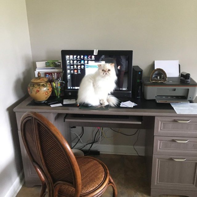 Office Manager