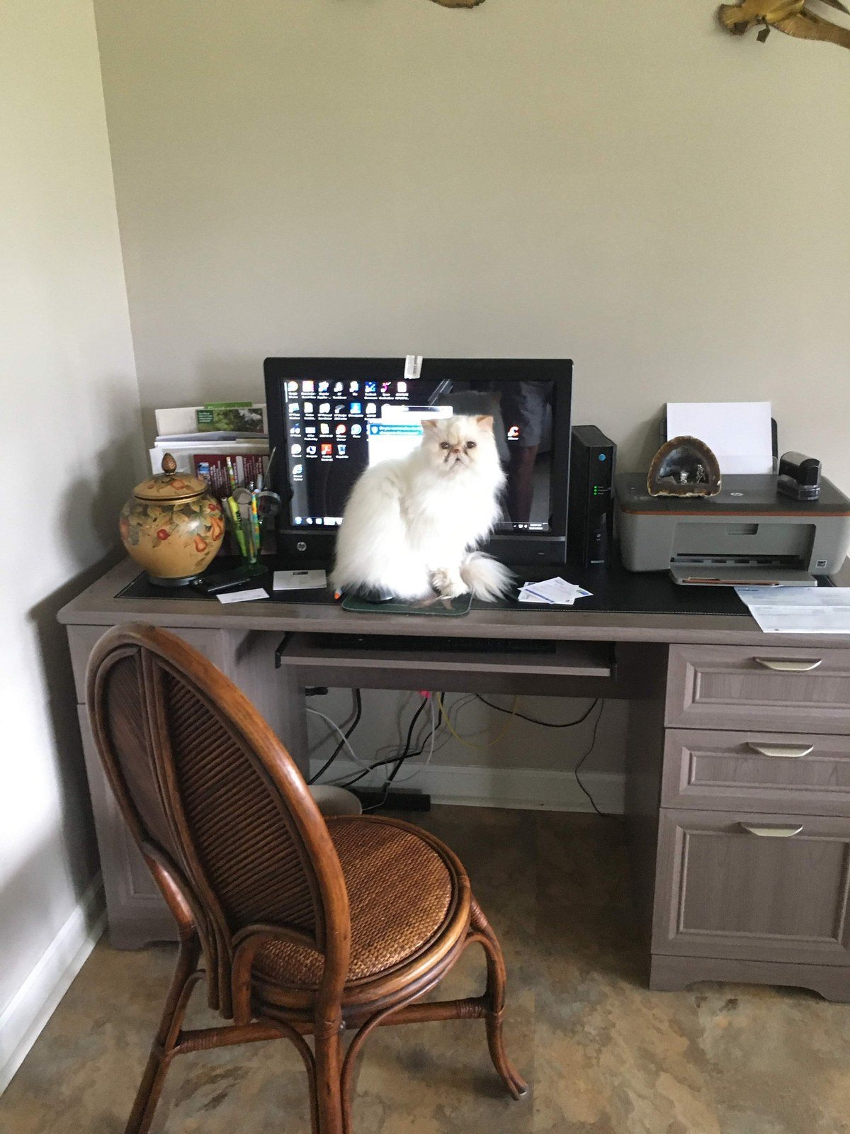 Office Manager