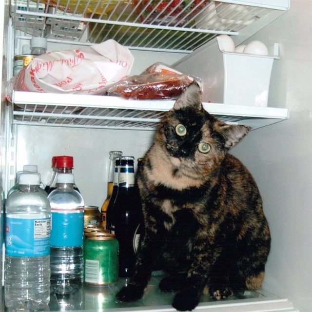 Got Milk?????