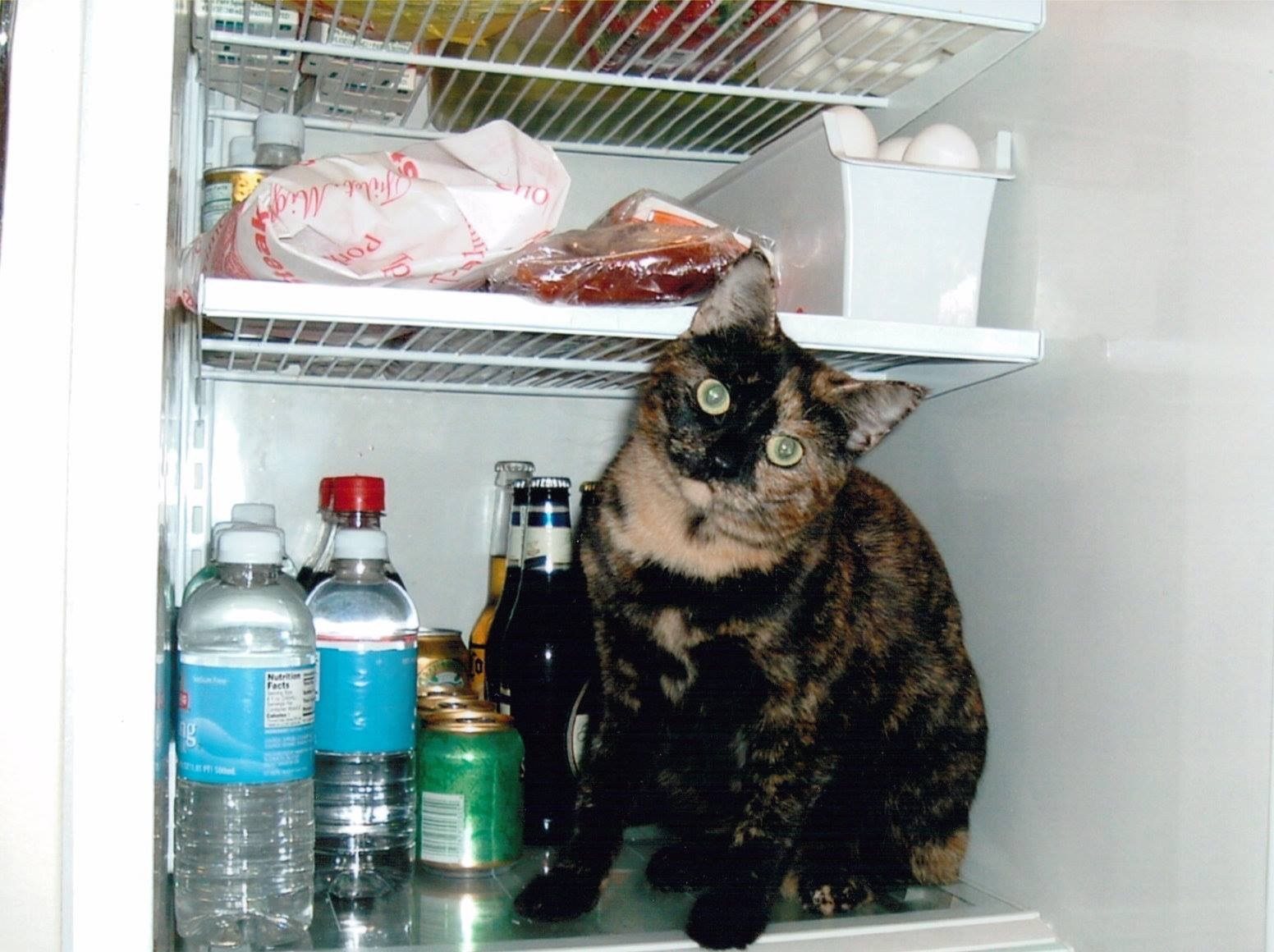Got Milk?????