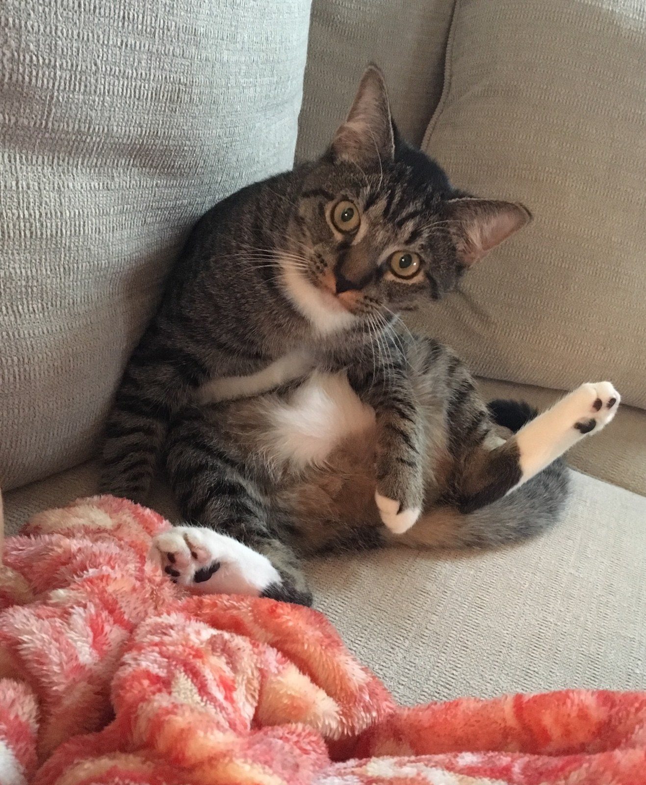 You Talkin' To Me?