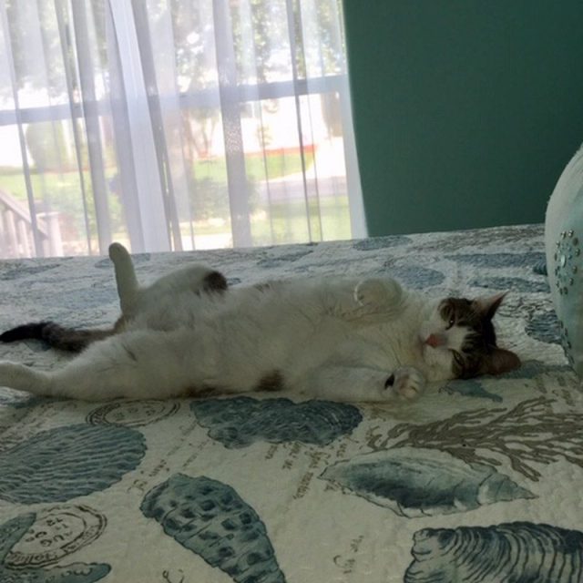 It's A Tough Life!