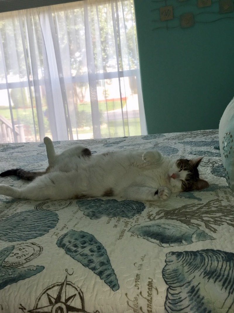 It's A Tough Life!