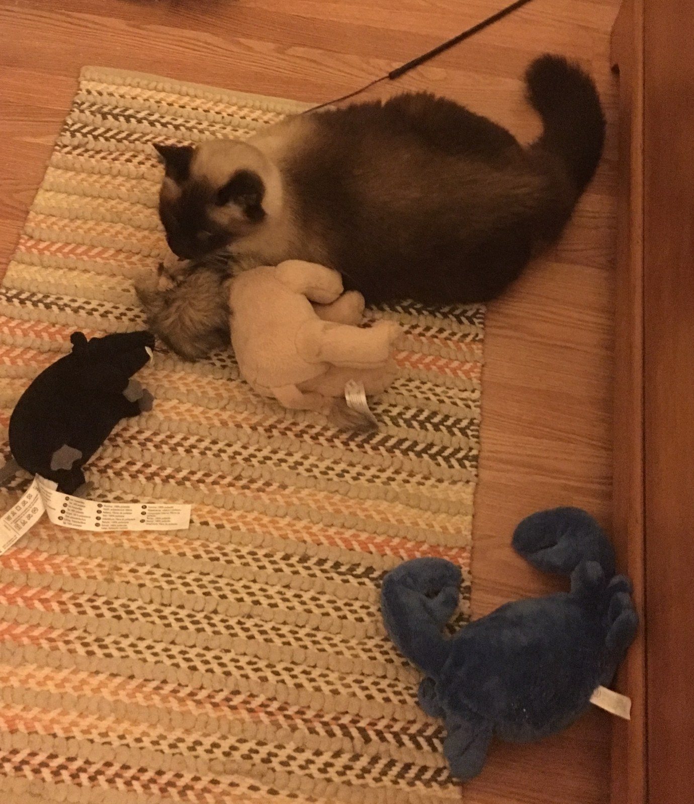You Can Never Have To Many Toys