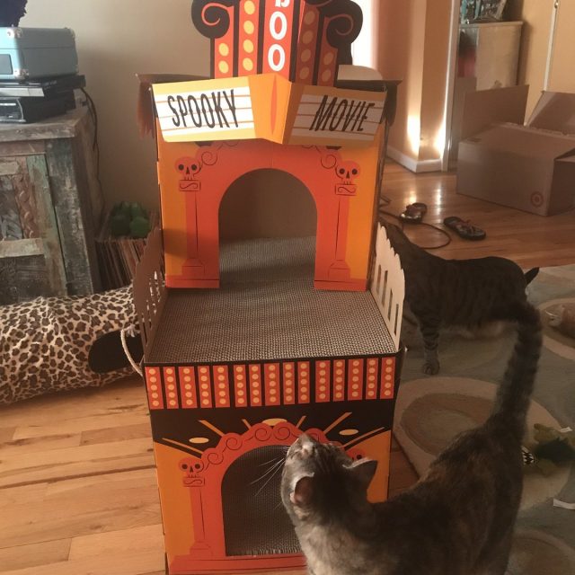 What's Playing?